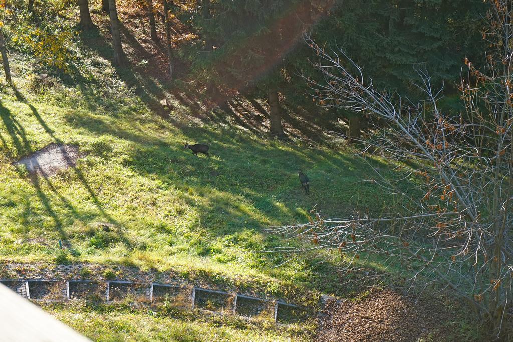 Domaine De La Croix De Javernaz Villars-sur-Ollon Exteriör bild